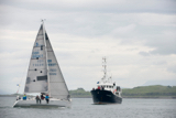 shadowfax gbr8930t whyw16 fri 800 5369w